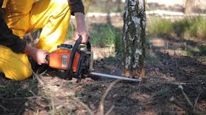 Best Lawn Watering Services  in North Fort Lewis, WA