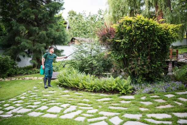 Best Emergency Tree Removal  in North Fort Lewis, WA