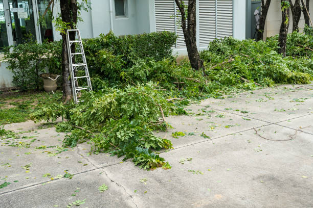 Best Commercial Tree Services  in North Fort Lewis, WA