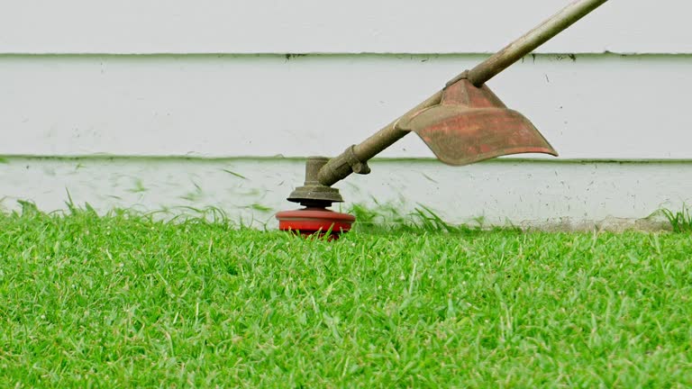 Best Root Management and Removal  in North Fort Lewis, WA